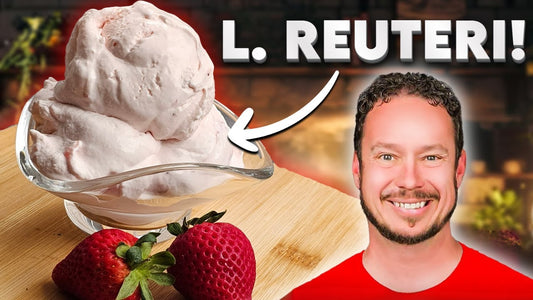 Frozen Strawberry L. Reuteri Yogurt