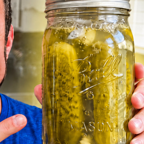 Raw Fermented Garlic Dill Refrigerator Pickles